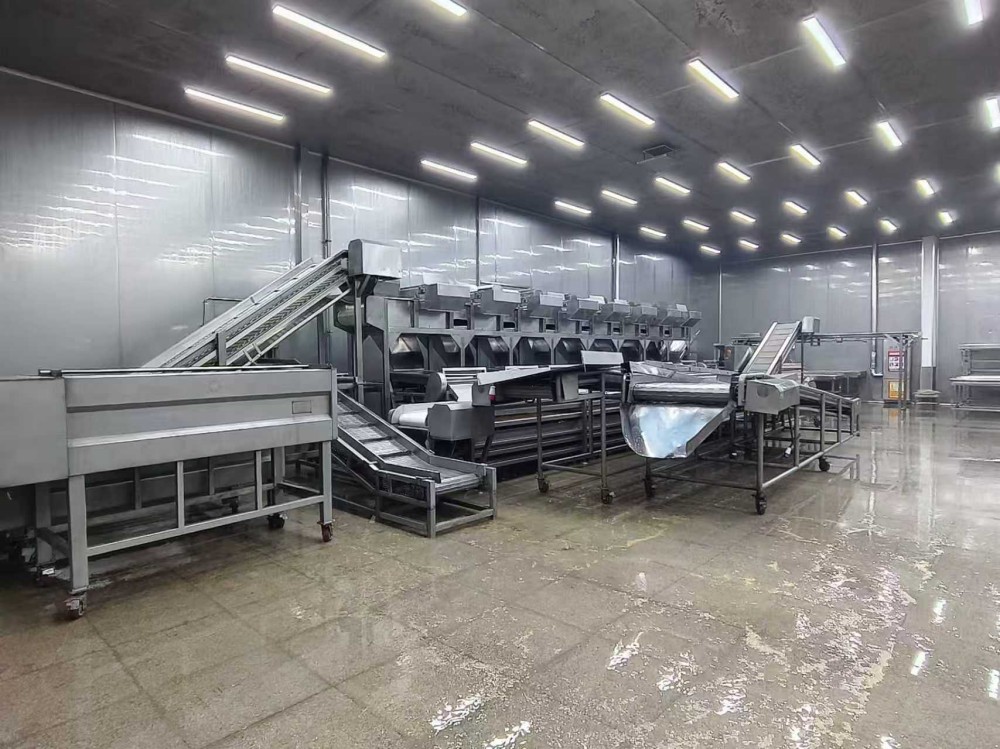 山东三涛食品果蔬加工流水线项目成功案例